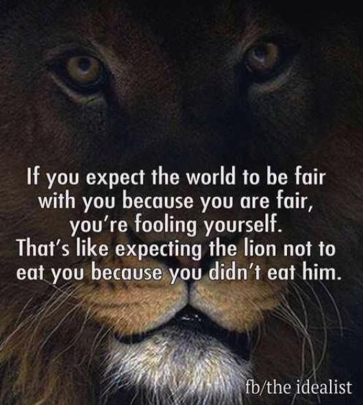 image072