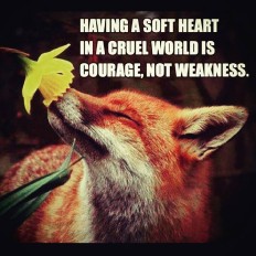 image052